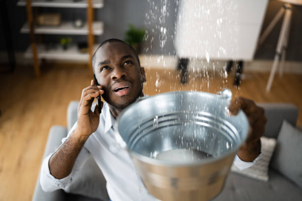 Best Professional water damage repair  in Chattanoo Valley, GA