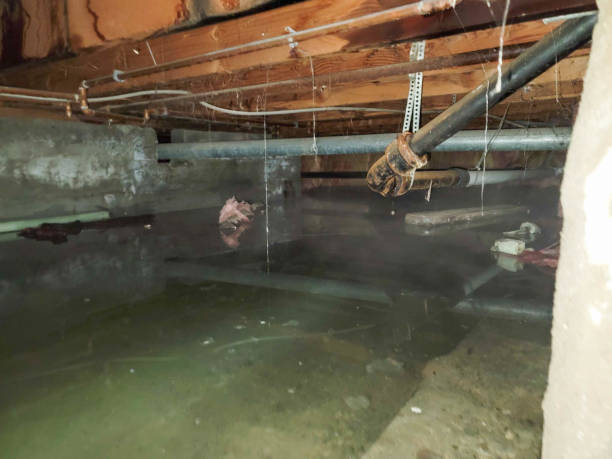Best Water damage restoration mold remediation  in Chattanoo Valley, GA