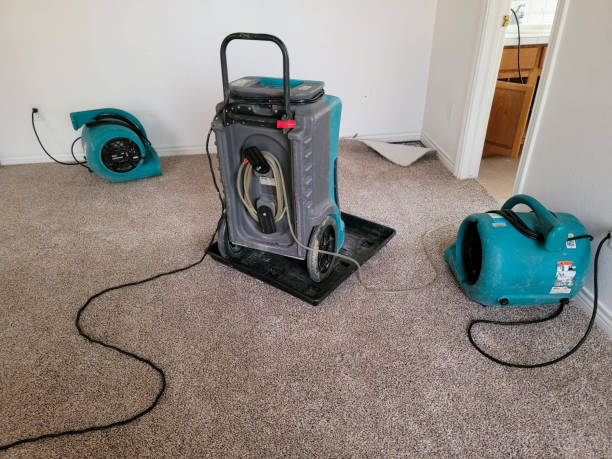 Best Ceiling water damage repair  in Chattanoo Valley, GA
