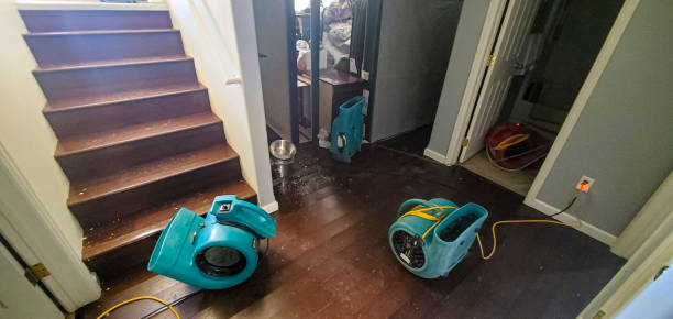 Best Water damage contractors near me  in Chattanoo Valley, GA