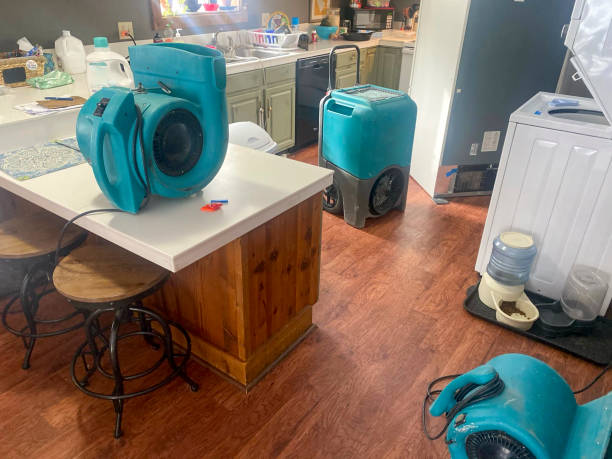 Carpet water damage restoration in GA