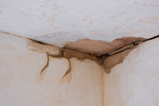 Best Flood damage cleanup  in Chattanoo Valley, GA