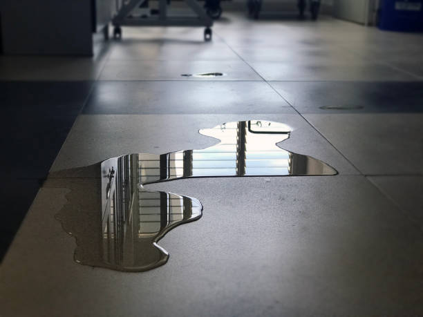 Best Water damage restoration near me  in Chattanoo Valley, GA