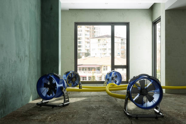 Best Water damage cleanup near me  in Chattanoo Valley, GA