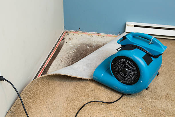 Best Basement water damage restoration  in Chattanoo Valley, GA